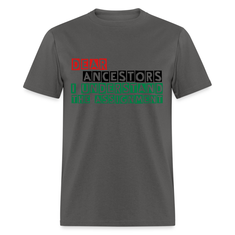 I Understand The Assignment Classic T-Shirt - charcoal