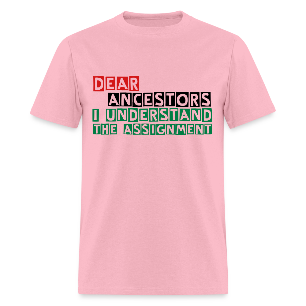 I Understand The Assignment Classic T-Shirt - pink